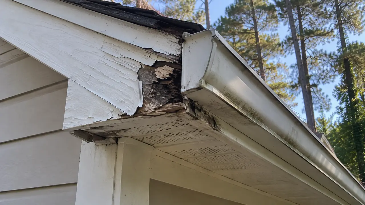 A house eave corner where the fascia paint has peeled and the wood behind the gutter has rotted.